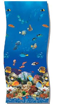 Aquarium