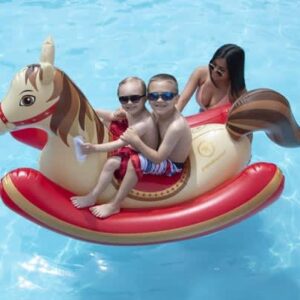 Hobby Horse Rocker