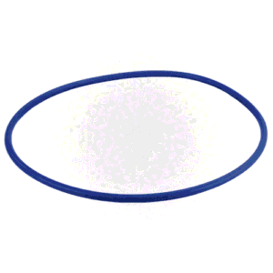 Valve O-Ring