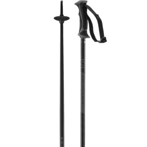 Arctic Lady Ski Poles W23
