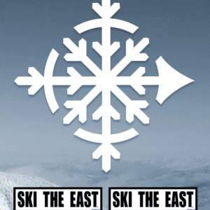 XL Die Cut Sticker Pack - Flake