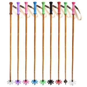 Grass Sticks Ski Pole