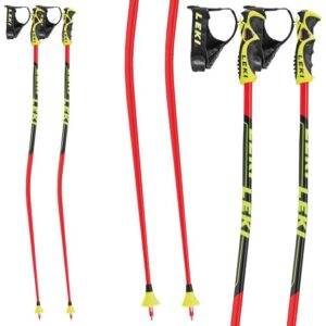 TBS Worldcup GS Ski Pole