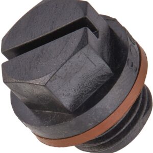 Pipe Plug W/ Gasket